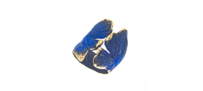 ANILLO FILI PLAZA PETALO AZUL II