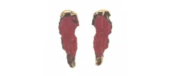 PENDIENTES EROSIONES ROJO